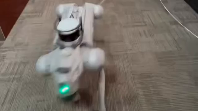 Quadruped robot in an indoor corridor